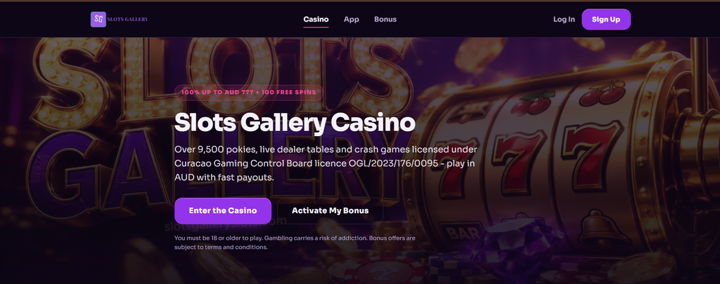 Slots Gallery: the code field above the offer conditions